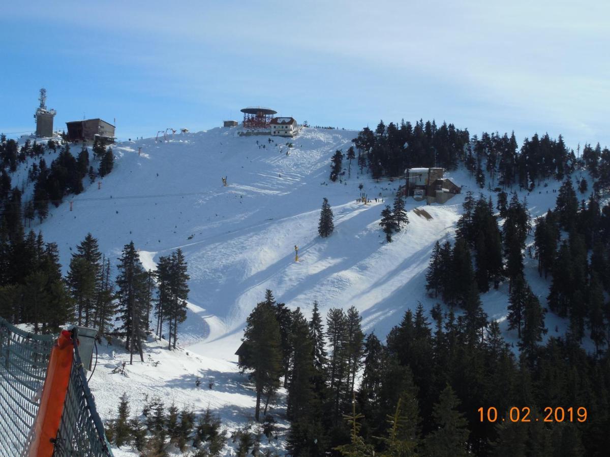 Ski&Bike Residence Poiana Brasov Eksteriør billede